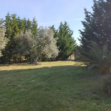 Vila Giulia *