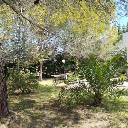 Vila Giulia *